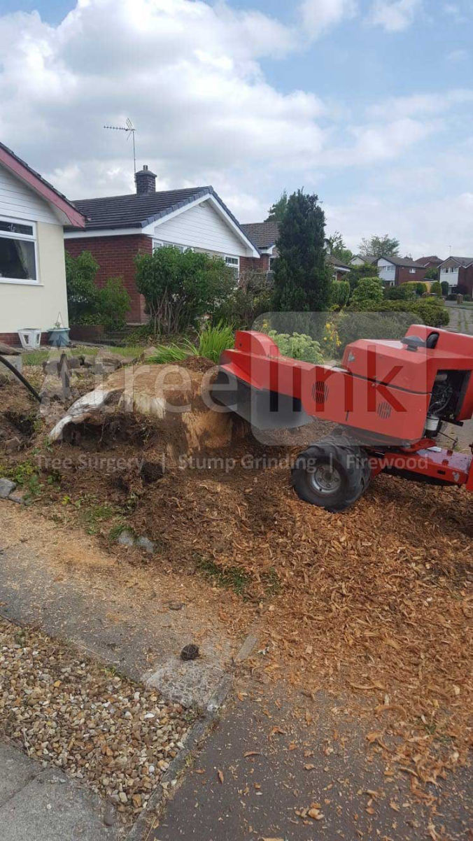 Stump Grinding