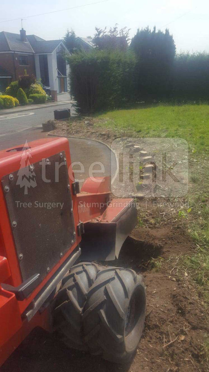 Treelink Stump Grinding